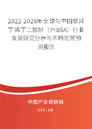 2022-2028年全球與中國聚異丁烯丁二酸酐（PIBSA）行業(yè)發(fā)展研究分析與市場前景預(yù)測報告