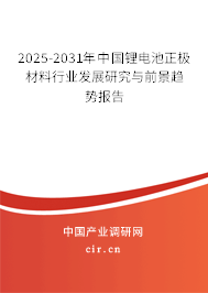 2025-2031年中國鋰電池正極材料行業(yè)發(fā)展研究與前景趨勢報告