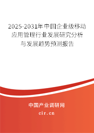 2025-2031年中國(guó)企業(yè)級(jí)移動(dòng)應(yīng)用管理行業(yè)發(fā)展研究分析與發(fā)展趨勢(shì)預(yù)測(cè)報(bào)告