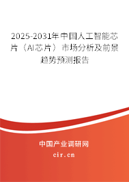 2025-2031年中國(guó)人工智能芯片（AI芯片）市場(chǎng)分析及前景趨勢(shì)預(yù)測(cè)報(bào)告