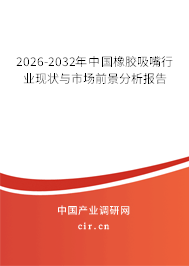2025-2031年中國(guó)橡膠吸嘴行業(yè)現(xiàn)狀與市場(chǎng)前景分析報(bào)告