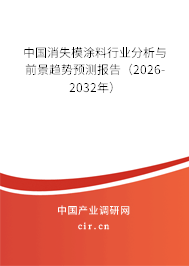 中國消失模涂料行業(yè)分析與前景趨勢預(yù)測報告（2026-2032年）