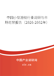 中國小型游艇行業(yè)調(diào)研與市場前景報告（2026-2032年）