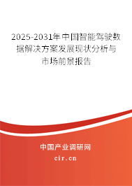 2025-2031年中國智能駕駛數(shù)據(jù)解決方案發(fā)展現(xiàn)狀分析與市場前景報告