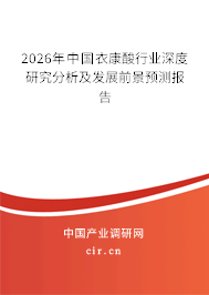 2026年中國(guó)衣康酸行業(yè)深度研究分析及發(fā)展前景預(yù)測(cè)報(bào)告
