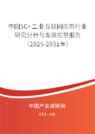 中國5G+工業(yè)互聯(lián)網(wǎng)應用行業(yè)研究分析與發(fā)展前景報告（2025-2031年）