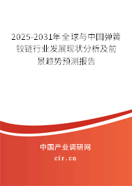2025-2031年全球與中國(guó)彈簧鉸鏈行業(yè)發(fā)展現(xiàn)狀分析及前景趨勢(shì)預(yù)測(cè)報(bào)告