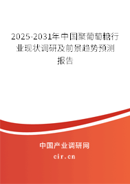 2025-2031年中國聚葡萄糖行業(yè)現(xiàn)狀調(diào)研及前景趨勢預(yù)測報(bào)告