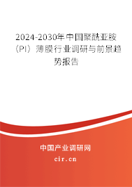 2024-2030年中國聚酰亞胺（PI）薄膜行業(yè)調(diào)研與前景趨勢(shì)報(bào)告