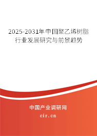 2025-2031年中國(guó)聚乙烯樹(shù)脂行業(yè)發(fā)展研究與前景趨勢(shì) 2025-2031年中國(guó)聚乙烯樹(shù)脂行業(yè)發(fā)展研究與前景趨勢(shì)