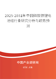 2025-2031年中國磷酸鐵鋰電池組行業(yè)研究分析與趨勢預(yù)測
