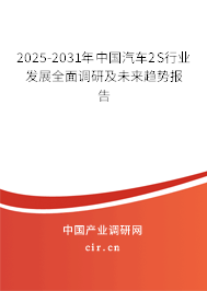 2025-2031年中國(guó)汽車2S行業(yè)發(fā)展全面調(diào)研及未來(lái)趨勢(shì)報(bào)告
