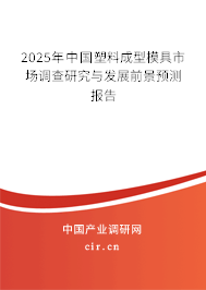 2025年中國塑料成型模具市場調(diào)查研究與發(fā)展前景預(yù)測報告