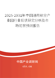 2025-2031年中國通用航空產(chǎn)業(yè)園行業(yè)現(xiàn)狀研究分析及市場前景預(yù)測報告