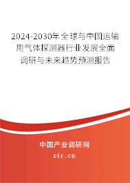 2024-2030年全球與中國運輸用氣體探測器行業(yè)發(fā)展全面調(diào)研與未來趨勢預(yù)測報告 2024-2030年全球與中國運輸用氣體探測器行業(yè)發(fā)展全面調(diào)研與未來趨勢預(yù)測報告