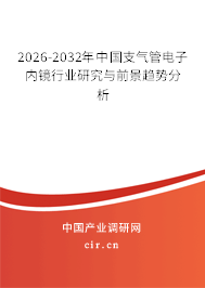 2026-2032年中國支氣管電子內(nèi)鏡行業(yè)研究與前景趨勢分析