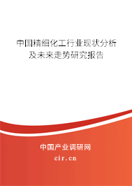 中國精細化工行業(yè)現(xiàn)狀分析及未來走勢研究報告 中國精細化工行業(yè)現(xiàn)狀分析及未來走勢研究報告