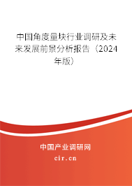 中國角度量塊行業(yè)調(diào)研及未來發(fā)展前景分析報(bào)告(2024年版) 中國角度量塊行業(yè)調(diào)研及未來發(fā)展前景分析報(bào)告(2024年版)
