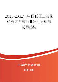 2025-2031年中國低壓二氧化碳滅火系統(tǒng)行業(yè)研究分析與前景趨勢