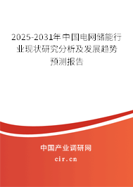 2025-2031年中國電網(wǎng)儲(chǔ)能行業(yè)現(xiàn)狀研究分析及發(fā)展趨勢預(yù)測報(bào)告