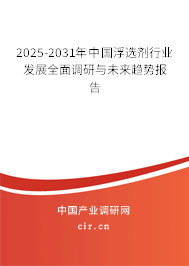 2025-2031年中國浮選劑行業(yè)發(fā)展全面調(diào)研與未來趨勢報告