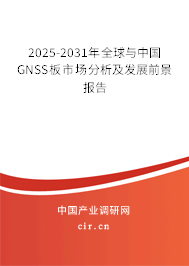 2025-2031年全球與中國(guó)GNSS板市場(chǎng)分析及發(fā)展前景報(bào)告