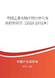 中國工業(yè)電腦市場分析與發(fā)展趨勢研究（2025-2031年）