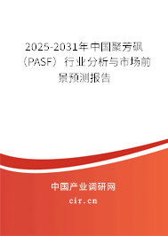 2025-2031年中國(guó)聚芳砜（PASF）行業(yè)分析與市場(chǎng)前景預(yù)測(cè)報(bào)告