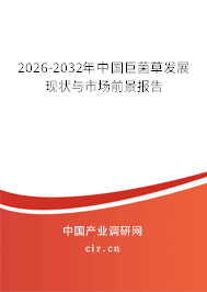 2026-2032年中國巨菌草發(fā)展現(xiàn)狀與市場前景報告 2026-2032年中國巨菌草發(fā)展現(xiàn)狀與市場前景報告