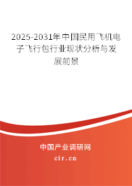 2025-2031年中國(guó)民用飛機(jī)電子飛行包行業(yè)現(xiàn)狀分析與發(fā)展前景