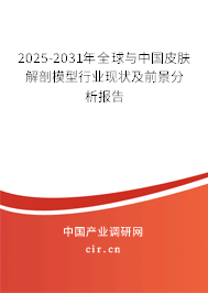 2025-2031年全球與中國皮膚解剖模型行業(yè)現(xiàn)狀及前景分析報(bào)告