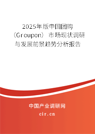 2025年版中國(guó)團(tuán)購(gòu)（Groupon）市場(chǎng)現(xiàn)狀調(diào)研與發(fā)展前景趨勢(shì)分析報(bào)告