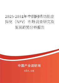 2025-2031年中國網(wǎng)絡功能虛擬化（NFV）市場調查研究及發(fā)展趨勢分析報告