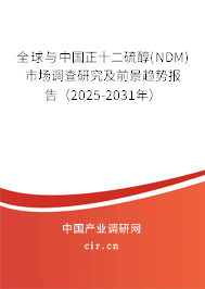 全球與中國正十二硫醇(NDM)市場調(diào)查研究及前景趨勢報告（2025-2031年）