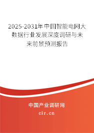 2025-2031年中國智能電網大數(shù)據(jù)行業(yè)發(fā)展深度調研與未來前景預測報告