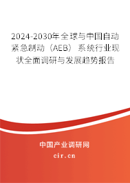 2024-2030年全球與中國自動緊急制動（AEB）系統(tǒng)行業(yè)現(xiàn)狀全面調研與發(fā)展趨勢報告
