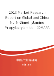 2013 Market Research Report on Global and China N，N-Dimethylamino Propylacrylamide （DMAPAA） Industry