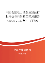 中國低壓電力線載波通信行業(yè)分析與前景趨勢預測報告（2025-2031年）（下架）