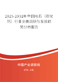 2025-2031年中國(guó)電石（碳化鈣）行業(yè)全面調(diào)研與發(fā)展趨勢(shì)分析報(bào)告