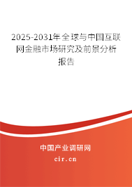 2025-2031年全球與中國互聯(lián)網(wǎng)金融市場研究及前景分析報告