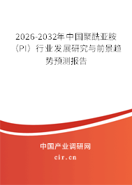 2026-2032年中國聚酰亞胺(PI)行業(yè)發(fā)展研究與前景趨勢預(yù)測報告 2026-2032年中國聚酰亞胺(PI)行業(yè)發(fā)展研究與前景趨勢預(yù)測報告