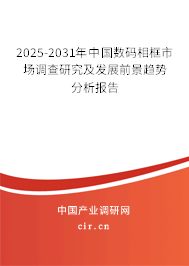 2025-2031年中國(guó)數(shù)碼相框市場(chǎng)調(diào)查研究及發(fā)展前景趨勢(shì)分析報(bào)告