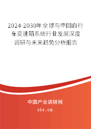 2024-2030年全球與中國自行車變速箱系統(tǒng)行業(yè)發(fā)展深度調(diào)研與未來趨勢分析報告
