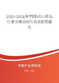 2025-2031年中國5G小基站行業(yè)全面調研與發(fā)展趨勢報告