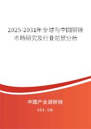 2025-2031年全球與中國鋼錘市場研究及行業(yè)前景分析