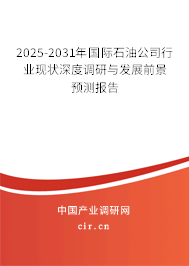 2025-2031年國際石油公司行業(yè)現(xiàn)狀深度調(diào)研與發(fā)展前景預(yù)測報告 2025-2031年國際石油公司行業(yè)現(xiàn)狀深度調(diào)研與發(fā)展前景預(yù)測報告