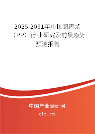2025-2031年中國聚丙烯(PP)行業(yè)研究及前景趨勢預(yù)測報(bào)告 2025-2031年中國聚丙烯(PP)行業(yè)研究及前景趨勢預(yù)測報(bào)告