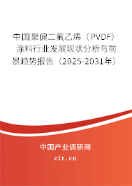 中國聚偏二氟乙烯（PVDF）涂料行業(yè)發(fā)展現(xiàn)狀分析與前景趨勢報(bào)告（2025-2031年）