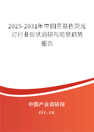 2025-2031年中國(guó)三基色熒光燈行業(yè)現(xiàn)狀調(diào)研與前景趨勢(shì)報(bào)告