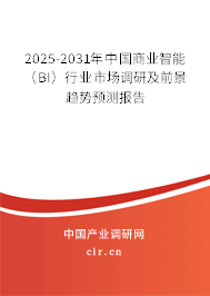 2025-2031年中國(guó)商業(yè)智能（BI）行業(yè)市場(chǎng)調(diào)研及前景趨勢(shì)預(yù)測(cè)報(bào)告